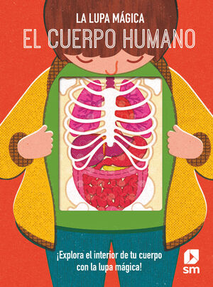 LLM.EL CUERPO HUMANO